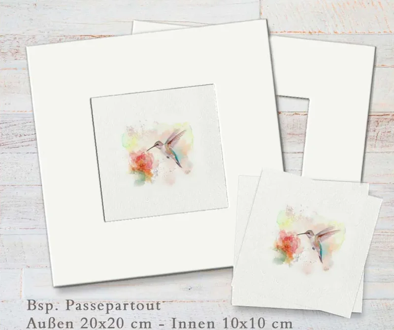 kolibri mit passepartout beispielbild