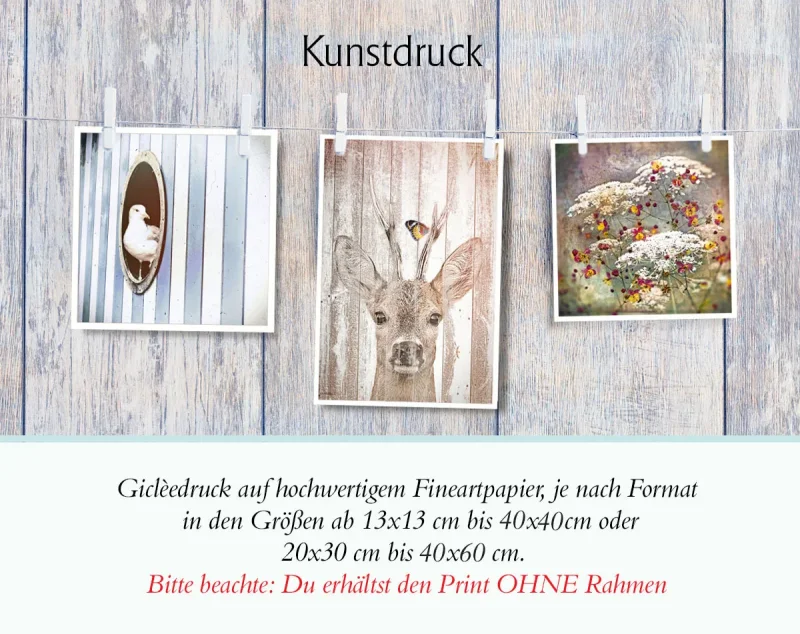 Variante Kunstdruck Poster von Bildermanufaktur Wieka Bloom