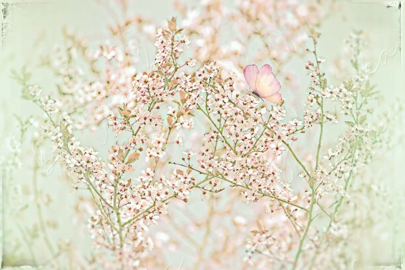 Baumblüte in Pastell, Wandbild Blumen im Shabby Landhausstil