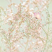 Baumblüte in Pastell, Wandbild Blumen im Shabby Landhausstil