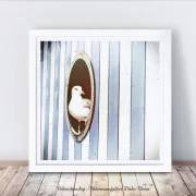 Kunstdruck Wandbild Möwe im Bullauge im weißen Bilderrahmen