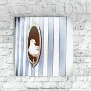 Leinwandbild Möwe im Bullauge