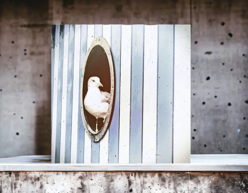 Wandbild Holzdruck Möwe im Bullauge