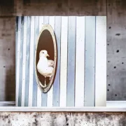 Wandbild Holzdruck Möwe im Bullauge