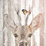 Wandbild Waldtiere - Hirsch mit Schmetterling im Shabby Chic, Landhausstil günstig kaufen