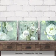 Lisianthus, Wandbilder - Weiße Blumen im Shabby Chic Landhausstil als Holzdruck