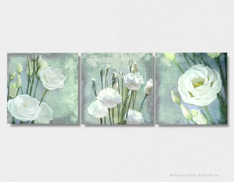 Lisianthus, Wandbilder - Weiße Blumen im Shabby Chic Landhausstil als Leinwanddruck