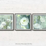 Lisianthus, Wandbilder - Weiße Blumen im Shabby Chic Landhausstil als Kunstdruck