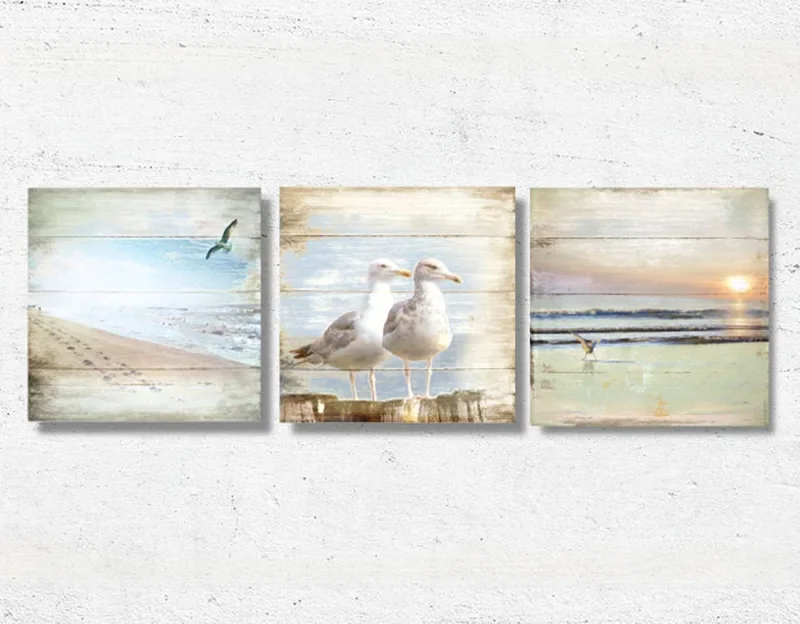 Küstenbilder, Bilder Set Strandläufer als Kunstdruck