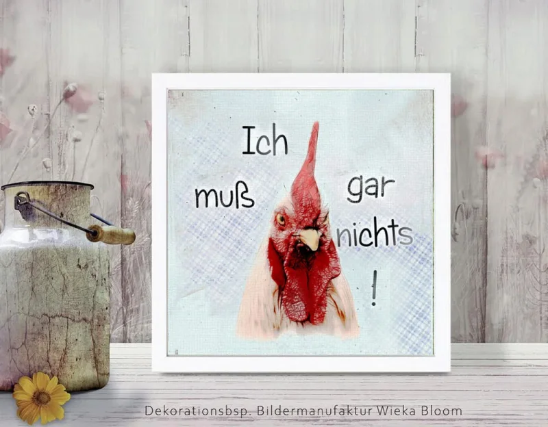Huhn, Wandbild mit lustigem Spruch im Landhausstil günstig kaufen, gerahmt