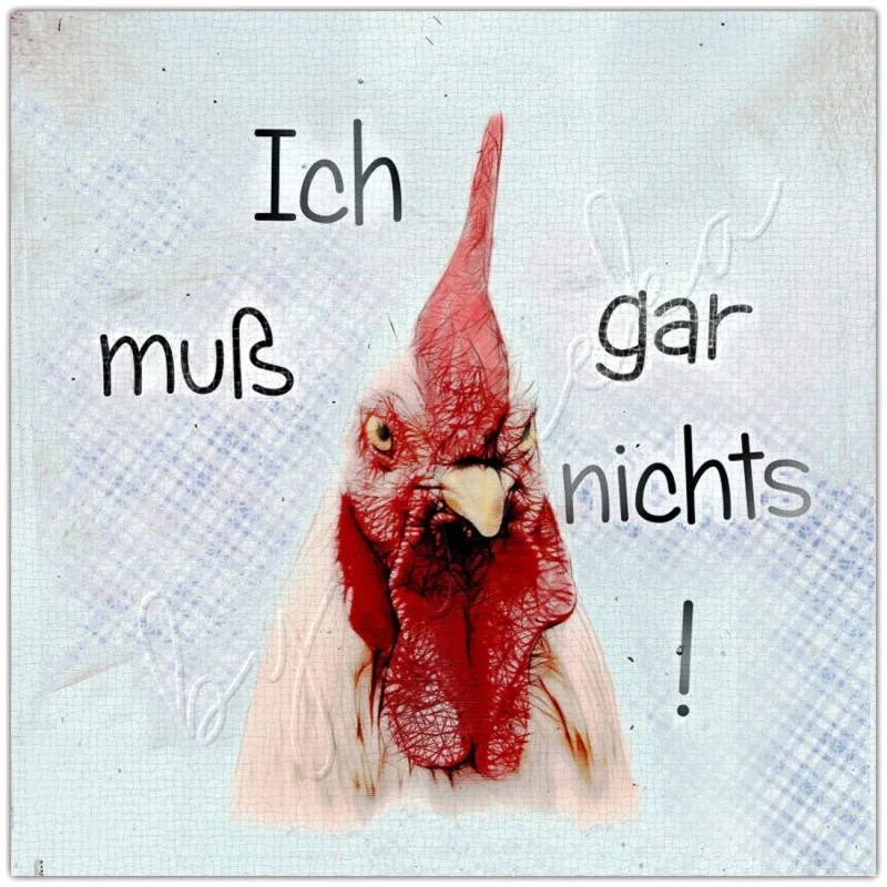 Wandkunst für Küche, Huhn mit lustigem Spruch