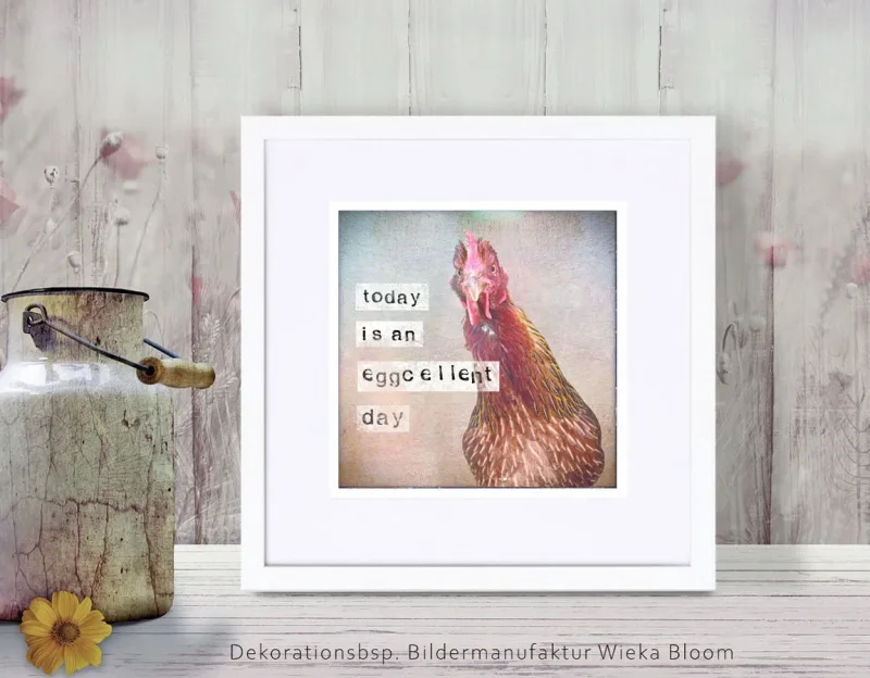 Kunstdruck, Eggcellent - Huhn, Wandbild mit humorvollem Spruch im Landhausstil günstig kaufen
