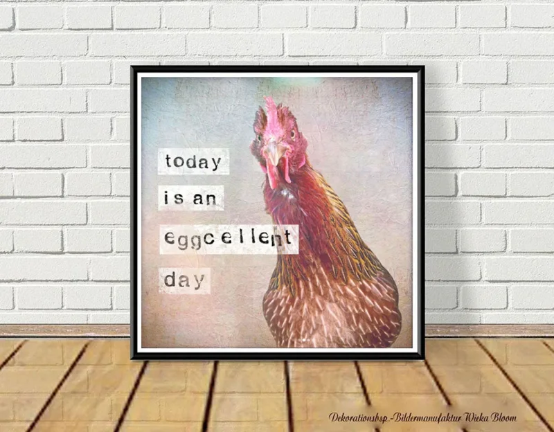 Kunstdruck, Eggcellent - Huhn, Wandbild mit humorvollem Spruch im Landhausstil günstig kaufen