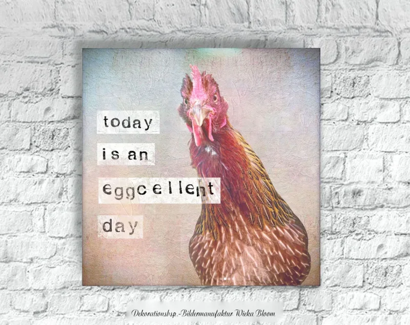 Leinwandbild, Eggcellent - Huhn, Wandbild mit humorvollem Spruch im Landhausstil günstig kaufen