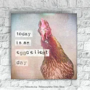 Leinwandbild, Eggcellent - Huhn, Wandbild mit humorvollem Spruch im Landhausstil günstig kaufen
