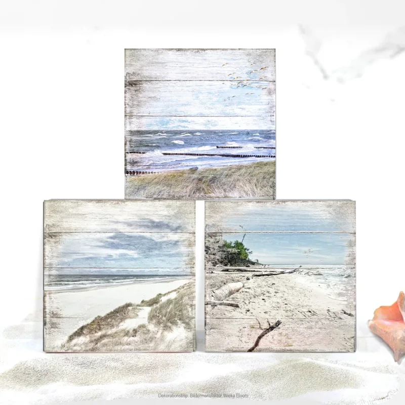 Darß, Küstenbilder, Set Wandbilder Shabby Chic