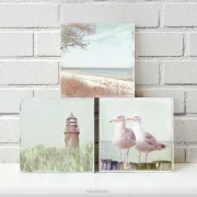 Darß, Möwen, Strand, Leuchturm, maritime Wandbilder im Shabby Chic Landhausstil, Holzdruck