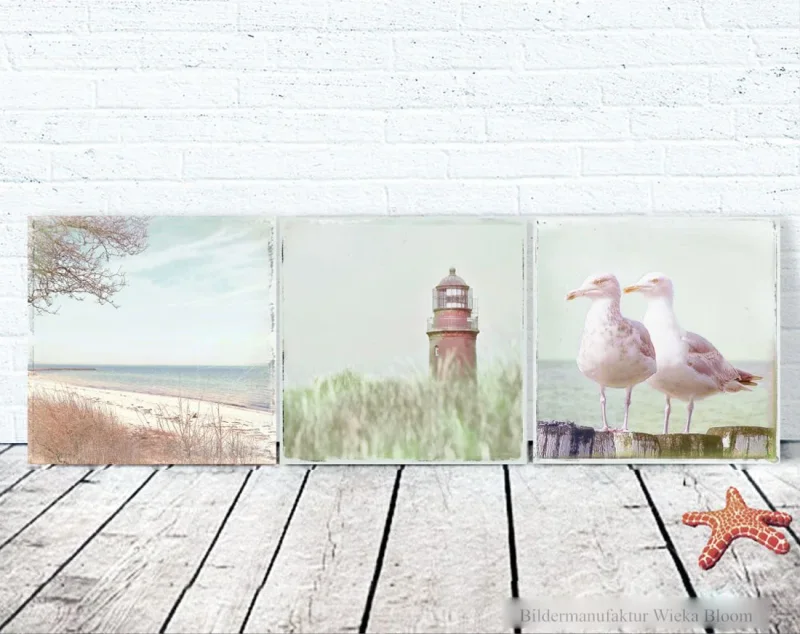 Darß, Möwen, Strand, Leuchturm, maritime Wandbilder im Shabby Chic Landhausstil, Leinwanddruck