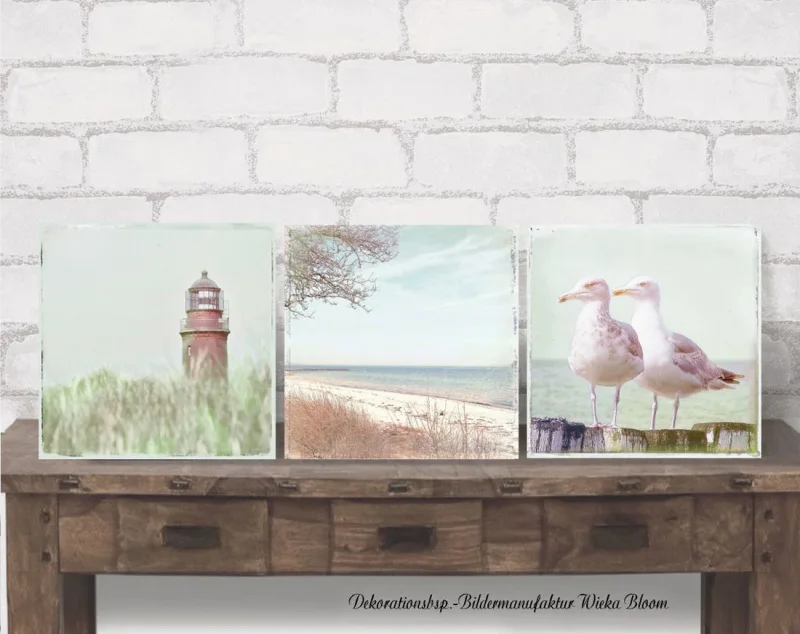 Darß, Möwen, Strand, Leuchturm, maritime Wandbilder im Shabby Chic Landhausstil, Leinwanddruck