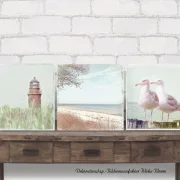 Darß, Möwen, Strand, Leuchturm, maritime Wandbilder im Shabby Chic Landhausstil, Leinwanddruck