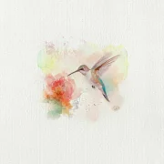 Kolibri, Flügeltiere, Miniatur Aquarell Kunstdruck auf Büttenpapier