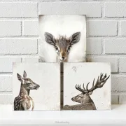 Hirsch u Reh - Waldtiere, Kollektion, Wandbilder im Shabby-Chic Landhausstil  als Holzdruck