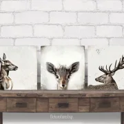Hirsch u Reh - Waldtiere, Kollektion, Wandbilder im Shabby-Chic Landhausstil  als  Leinwanddruck
