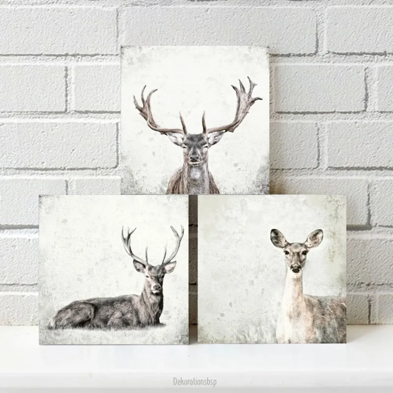 Hirsch u Reh - Waldtiere, Kollektion, Wandbilder im Shabby-Chic Landhausstil  als Holzdruck