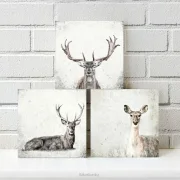 Hirsch u Reh - Waldtiere, Kollektion, Wandbilder im Shabby-Chic Landhausstil  als Holzdruck
