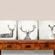 Reh und Hirsch, Wandbilder Waldtiere, Set im Shabby Chic, Landhausstil