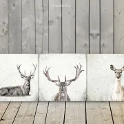 Reh und Hirsch, Wandbilder Waldtiere, Set im Shabby Chic, Landhausstil