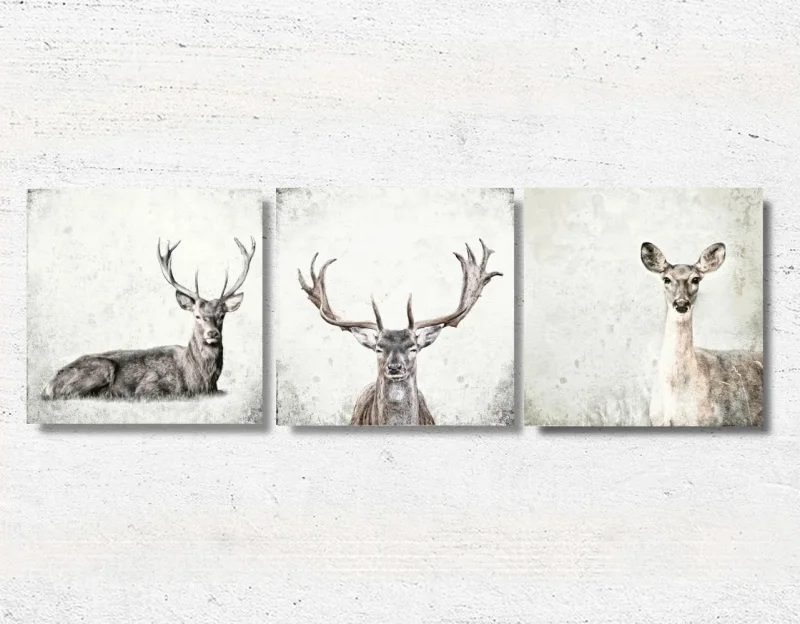 Reh und Hirsch, Wandbilder Waldtiere, Set im Shabby Chic, Landhausstil