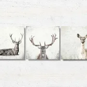 Reh und Hirsch, Wandbilder Waldtiere, Set im Shabby Chic, Landhausstil