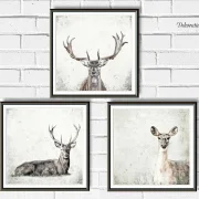 Reh und Hirsch, Wandbilder Waldtiere, Set im Shabby Chic, Landhausstil