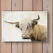 Hochlandrind - Wandbild im Shabby Landhausstil als Holzdruck kaufen