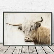 Hochlandrind - Wandbild im Shabby Landhausstil als Kunstdruck Poster kaufen