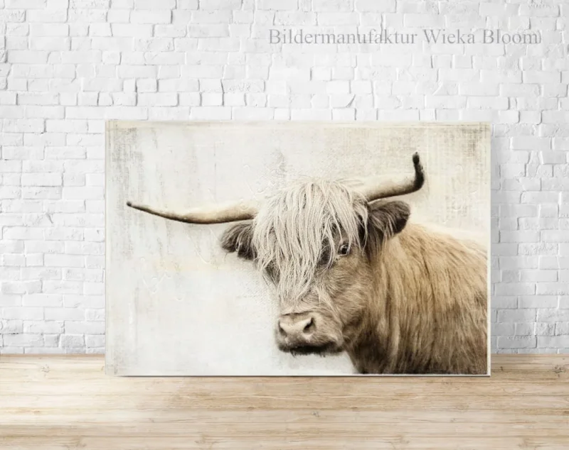 Hochlandrind - Wandbild im Shabby Chic Landhausstil als Leinwandbild kaufen