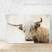 Hochlandrind - Wandbild im Shabby Chic Landhausstil als Leinwandbild kaufen