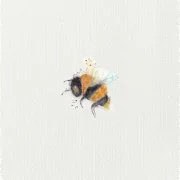 Kleine Hummel - Aquarell Miniatur, Kunstdruck auf Büttenpapier