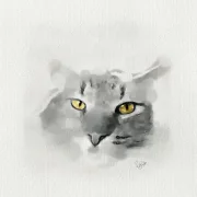 Katze - Miniatur, Aquarell Kunstdruck auf Büttenpapier