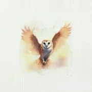 Eule Nachtvogel, Aquarell Miniatur Kunstdruck auf Büttenpapier