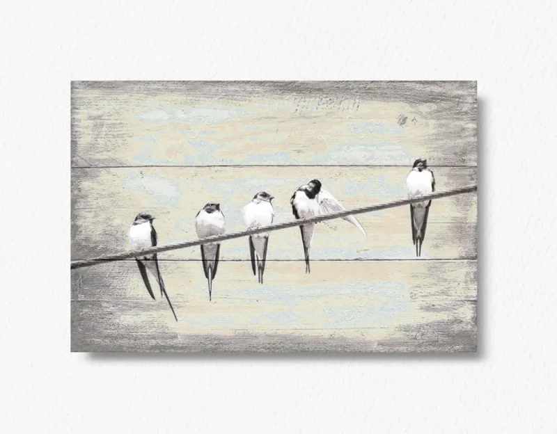 Schwalben, Vögel, Wandbild im Shabby-Chic, Landhausstil