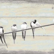 Schwalben, Vögel, Wandbild im Shabby-Chic, Landhausstil