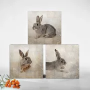 Kraniche, Set Kollektion Wandbilder im Landhausstil, Shabby Chic als Holzdruck kaufen