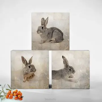 Hasen Trio, Wandbilder, Set im Shabby Chic, Landhausstil