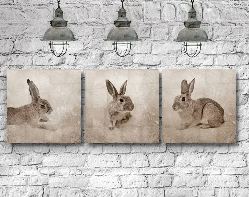 Hasen Trio, Wandbilder, 3er Set Waldtiere Leinwanddruck