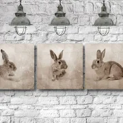 Hasen Trio, Wandbilder, 3er Set Waldtiere Leinwanddruck