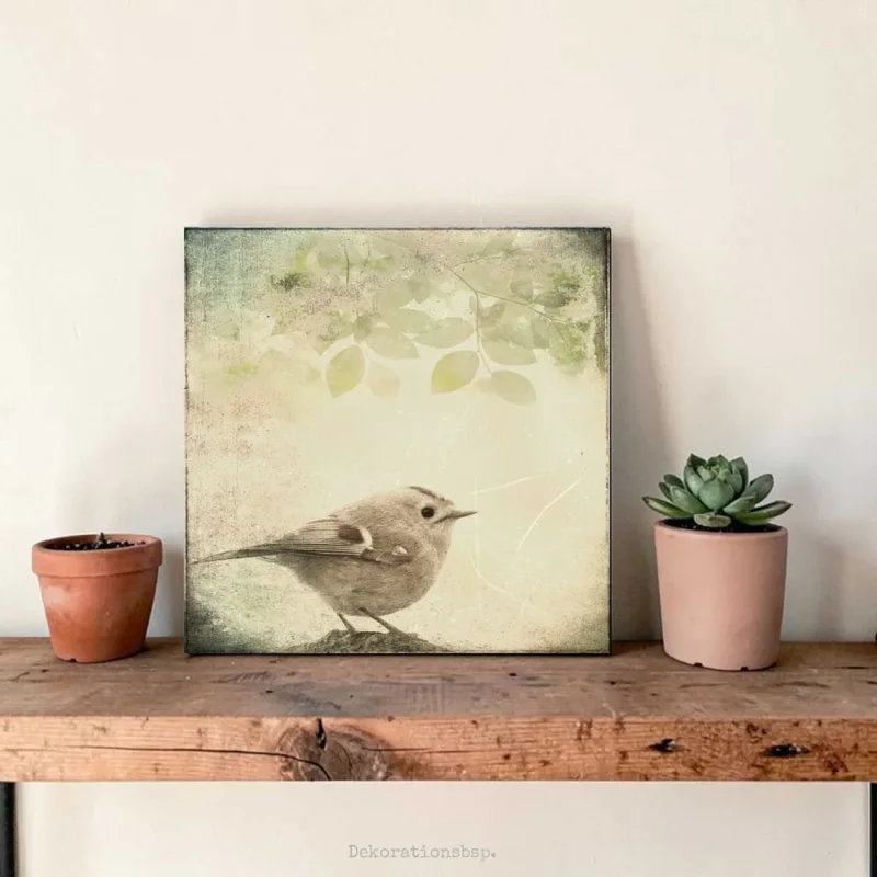 Wintergoldhähnchen Leinwandbild im Shabby Chic Landhausstil auf Leinwand