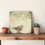 Wintergoldhähnchen Leinwandbild im Shabby Chic Landhausstil auf Leinwand