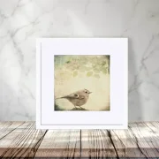 Wintergoldhähnchen Leinwandbild im Shabby Chic Landhausstil als Kunstdruck Poster